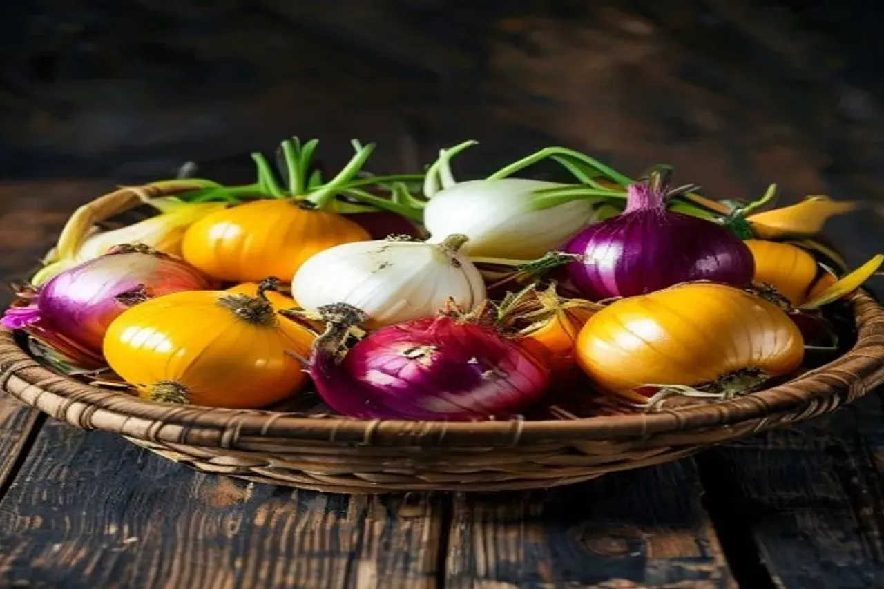 The Ultimate Guide to Proper Onion Storage Recipe